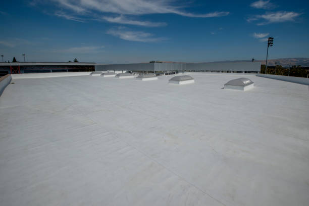 Best Roof Coating and Sealing  in Avimor, ID
