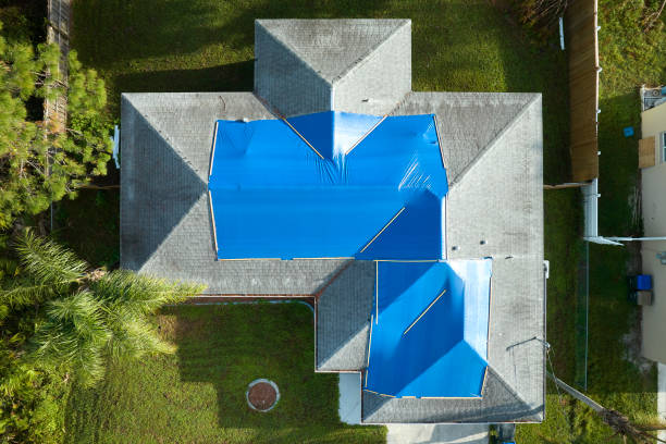 Best Steel Roofing  in Avimor, ID
